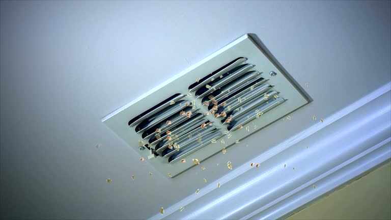 Best Air Duct Cleaning Near Me  in North Crossett, AR